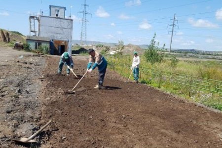 Дулааны цахилгаан станцын үнс, төв цэвэрлэхийн лагийг ашиглан үнсэн санд биологийн нөхөн сэргээлтийн туршилтыг явууллаа