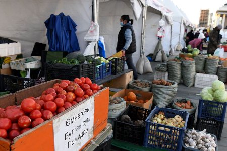 “Намрын ногоон өдрүүд” арваннэгдүгээр сарын 1-нийг хүртэл үргэлжилнэ