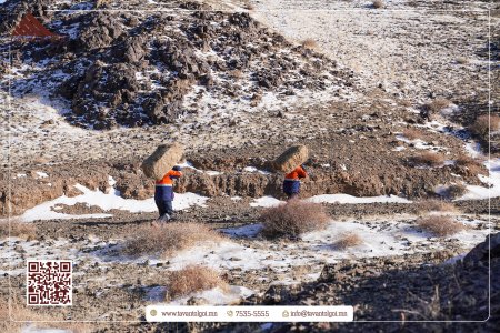 ДҮЙЦҮҮЛЭН ХАМГААЛАХ АЖЛЫГ ЗОХИОН БАЙГУУЛЛАА