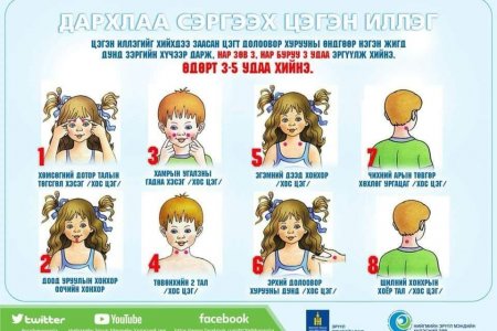 НЭМҮТ: Дархлаа сэргээх цэгэн иллэгийг ингэж хийдэг  
