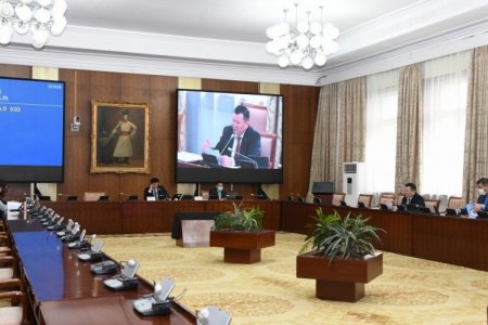 Хууль зүйн байнгын хороо Ерөнхийлөгчийн хоригийг дэмжсэнгүй