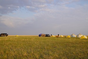 Autumn birding trip to Eastern Mongolia with Andreas Buchheim, Silas Olofson and the Germans