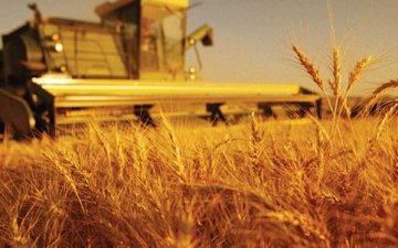 Ургац хураалт ирэх сарын 1 гэхэд дуусах төлөвтэй байна