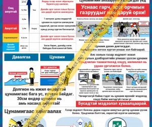 Цунами / Далайн түрлэг сэрэмжлэн хамгаалах Z1S385