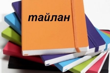 АЙМГИЙН ИРГЭДИЙН ТӨЛӨӨЛӨГЧДИЙН ХУРАЛ, ЗАСАГ ДАРГЫН ШИЙДВЭРИЙН 2024 ОНЫ БИЕЛЭЛТ