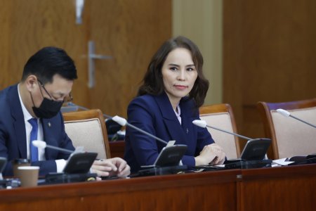 Хүний эрхийн дэд хорооны даргаар УИХ-ын гишүүн Ц.Мөнхцэцэгийг сонголоо