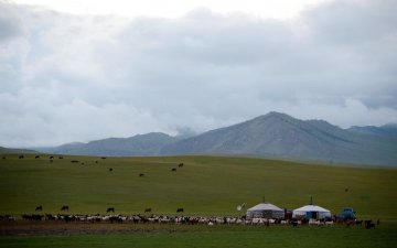 Бэлчээрийн Үндэсний чуулганаар тал хээрийн эко системийг хөндөн хэлэлцэнэ