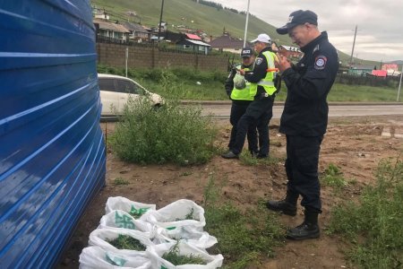 МАНСУУРУУЛАХ ТӨРЛИЙН УРГАМАЛ ТЭЭВЭРЛЭЖ ЯВСАНЫГ ИЛРҮҮЛЛЭЭ