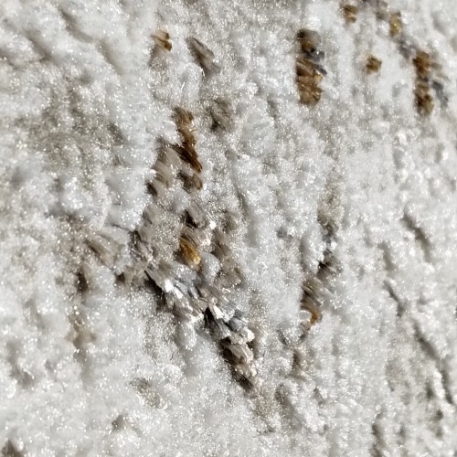 sec image