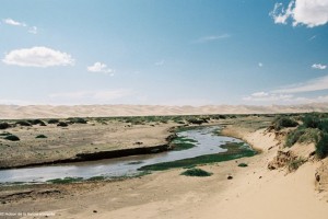 Mongolie Desert De Gobi