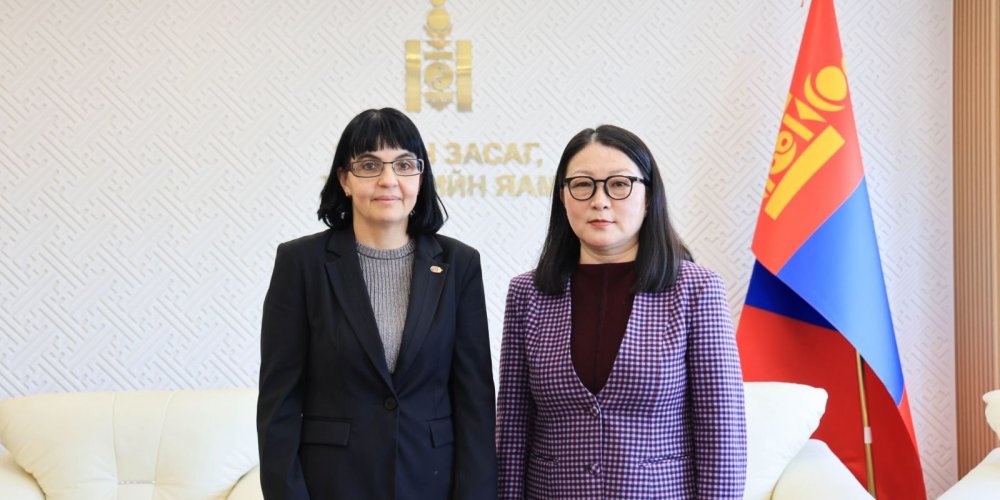 Дэд сайд С.Даваасүрэн Элчин сайд Борбала Анна Обрушанскиг хүлээн авч уулзлаа