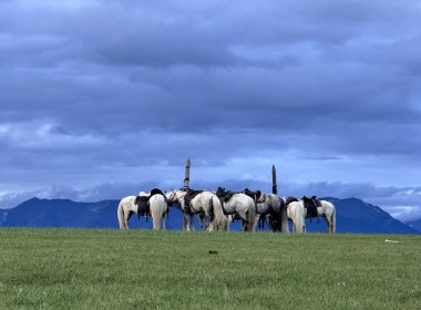 Khovsgol Horse Trek