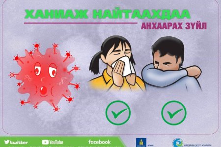 Хүний томуугийн А хүрээний /H1N1/ халдвараас сэргийлцгээе!