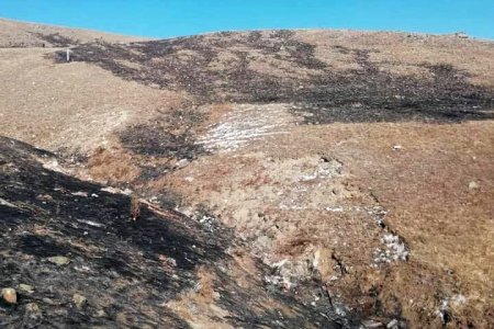 Иргэдийн анхаарал болгоомжгүйгээс шар өвсний түймэр гарлаа