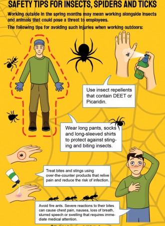 Safety tips for insects, spiders and ticks