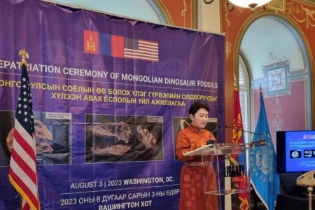 АНУ-аас үлэг гүрвэлийн 16 олдворыг Монгол Улсад хүлээлгэн өглөө