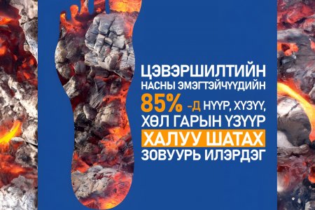 Цэвэршилт ба халуу шатах мэдрэмж