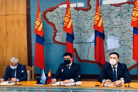 Шадар сайд С.Амарсайхан болон Монгол Улс дахь НҮБ-ын суурин зохицуулагч Тапан Мишра нар цахим уулзалт хийв 