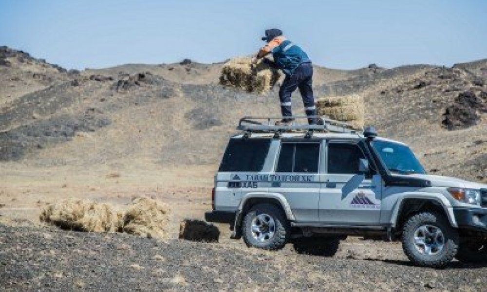 БИОЛОГИЙН ОЛОН ЯНЗ БАЙДЛЫГ ДҮЙЦҮҮЛЭН ХАМГААЛАХ АЖЛЫН ХҮРЭЭНД БИОТЕХНИКИЙН АРГА ХЭМЖЭЭ АВЧ ХЭРЭГЖҮҮЛЛЭЭ.