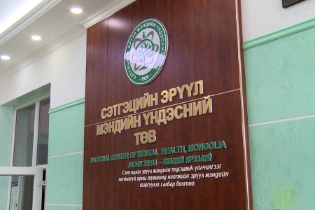 Аутизмын эмгэг нь эрт оношлогдох тусам тухайн хүүхэд хөгжих боломж илүү нэмэгддэг