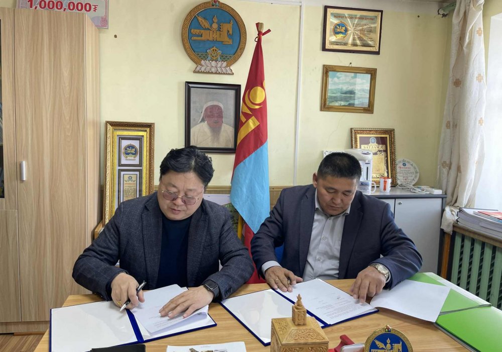 МАЛЧИН ӨРХИЙН ХОЛБОО БАЙГУУЛАХАД АРГА ЗҮЙН ДЭМЖЛЭГ ҮЗҮҮЛЖ БАЙНА