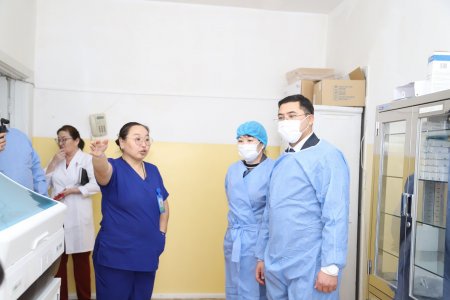 НЭГДСЭН ЭМНЭЛГИЙН ҮЙЛ АЖИЛЛАГААТАЙ ТАНИЛЦЛАА