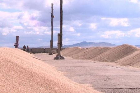 Импортын гурилын татварыг тэглэснээс үүдэж 3 дотоодын үйлдвэр хаалгаа барихад хүрчээ