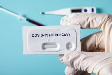 ЭМЯ: Халдварын 515 шинэ тохиолдол илэрлээ