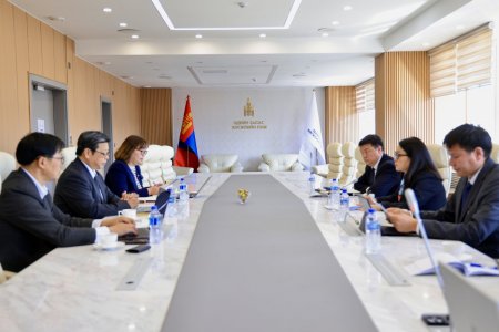  “Төсвийн зохистой удирдлагад чиглэсэн төр, хувийн хэвшлийн түншлэлийн менежментийн чадавх бэхжүүлэх” төслийн явцын талаар хэлэлцэв