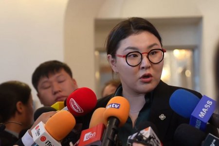 Э.Болормаа: Хэн нэг хүнд зориулж дүрэм, зарчим ярихаас илүү тогтолцоогоор нь харах хэрэгтэй