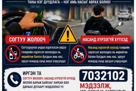 ИРГЭН ТА