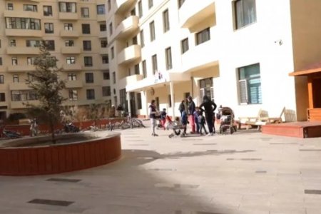 Sunshine village” хотхоны гүний худгаас савханцар нян илэрчээ