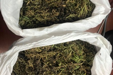 НМХГ: 2 КГ ОРЧИМ МАНСУУРУУЛАХ БУЮУ СЭТГЭЦЭД НӨЛӨӨЛӨХ ТӨРЛИЙН УРГАМАЛ ТЭЭВЭРЛЭЖ ЯВЖЭЭ 