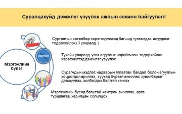 Багш нар “Мэргэжлийн бүлэг”-ээр сүлжээ үүсгэн хамтран ажиллана
