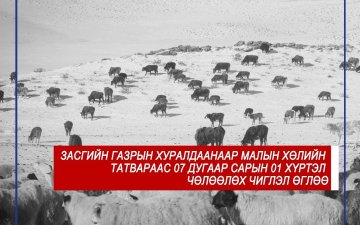 Малын хөлийн татвараас 07 дугаар сарын 01 хүртэл чөлөөлөх чиглэл өгчээ