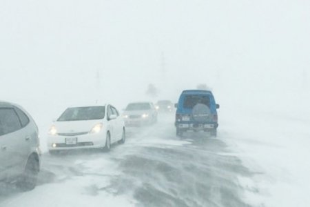 Цасан шуурга шуурч, хүйтний эрч чангарахыг онцгойлон анхааруулж байна