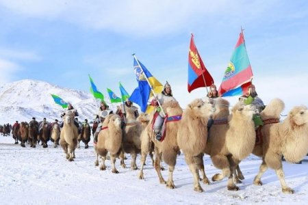 Thousand Camel Festival to be held in Umnugovi