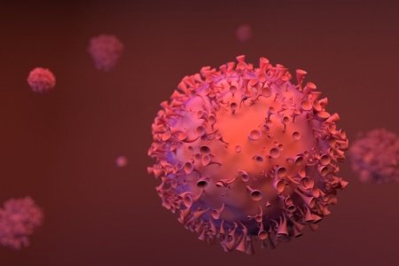 ЧОНО БОРООНООР БУЮУ АВЛИГА “ХОРООНОО”-ГООР...