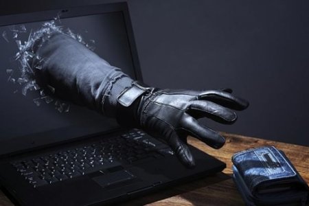 Цахим залилан олширсныг анхаарууллаа