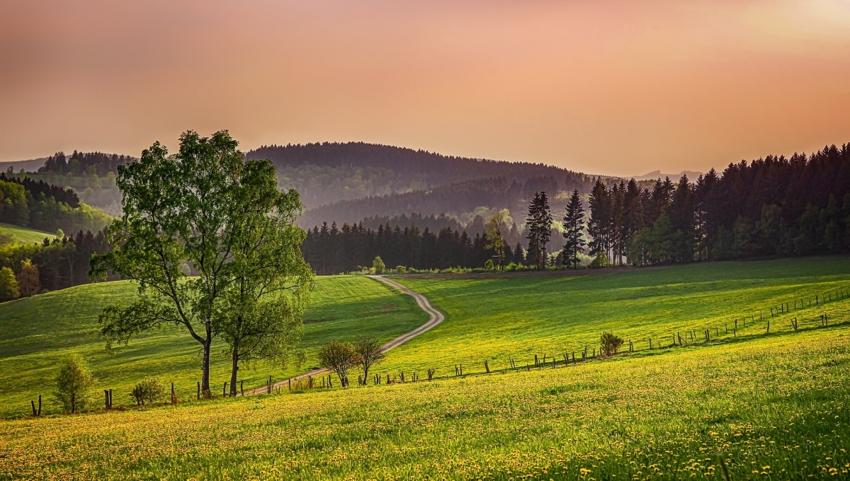 Tsetsee Gun hiking - 1 day | Hiking to Bogdkhan | Tours nearby ...