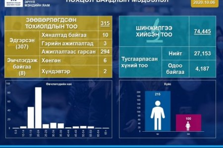 ЭМЯ: Коронавирусийн дахин 1 тохиолдол батлагдаж, нийт 315 боллоо