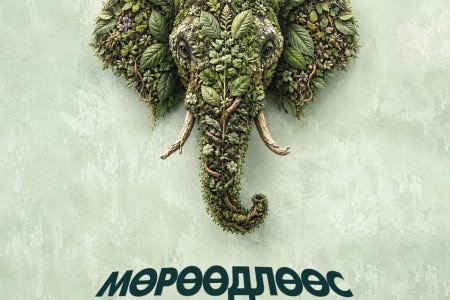 Нэг хүний мөрөөдөл хэрхэн дэлхийн брэнд болсон бэ?  