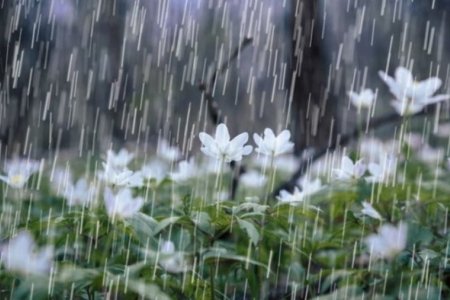 Дуу цахилгаантай бороо орно