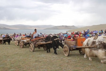 SUCCESSFUL HOLDING OF EXTRAORDINARILY UNIQUE NOMADIC FESTIVAL