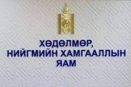 Манай улсад дунджаар 12 нэр төрлийн халамжийг зайлшгүй шаардлагатай зорилтот бүлэгт олгодог