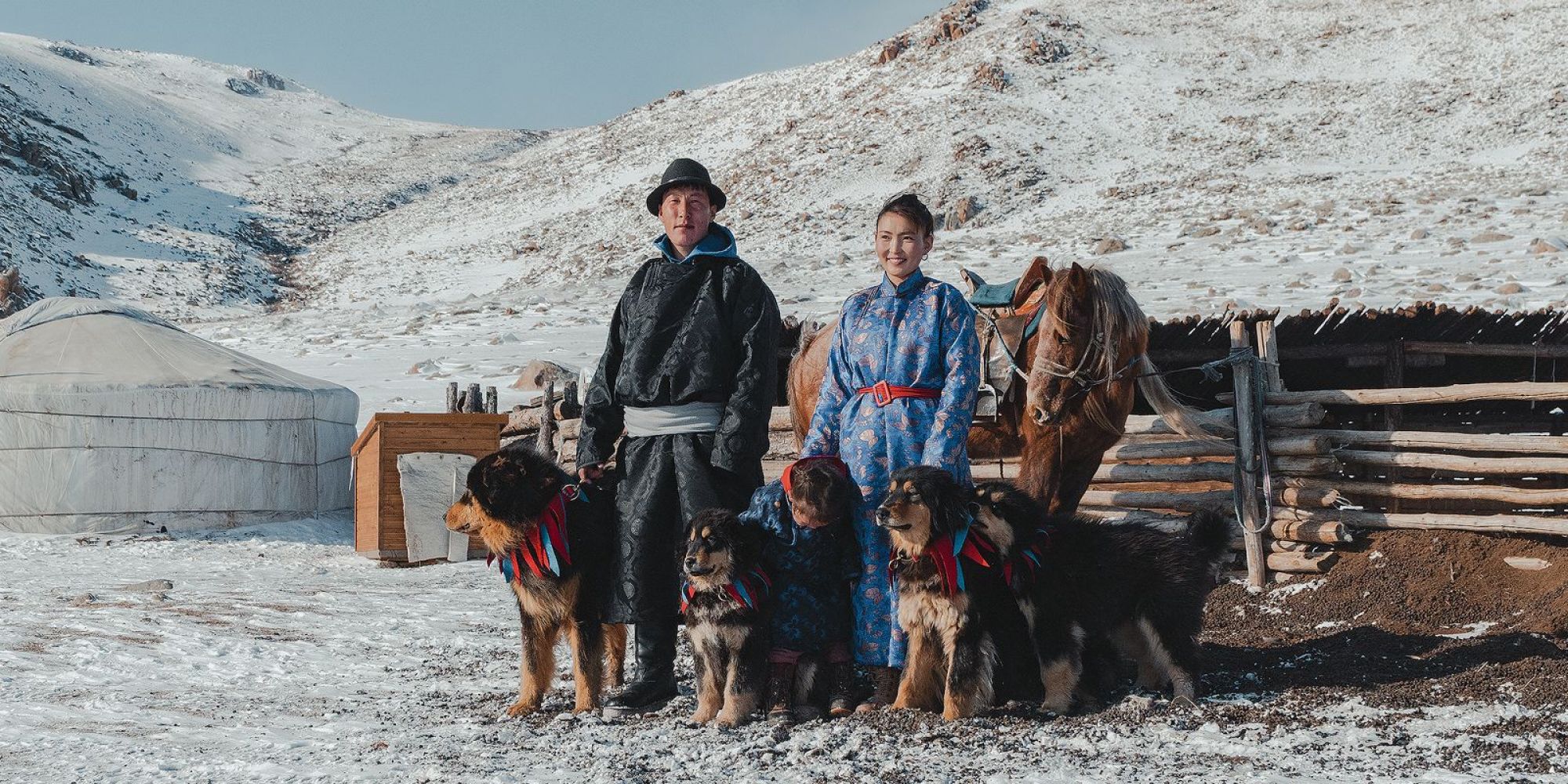 ARGADAI AND BERKHEDEI NATIVE MONGOLIAN DOG PROJECT