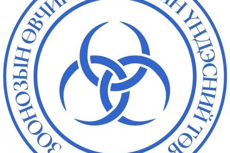 Хантавируст халдвар нь хүнээс хүнд халддаггүй учир албан бус мэдээлэлд цочирдохгүй байхыг анхаарууллаа