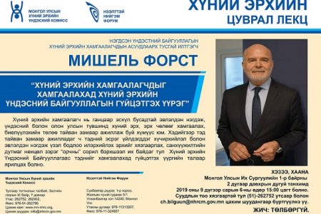 ХҮНИЙ ЭРХИЙН ХАМГААЛАГЧДЫГ ХАМГААЛАХАД ХҮНИЙ ЭРХИЙН ҮНДЭСНИЙ БАЙГУУЛЛАГЫН ГҮЙЦЭТГЭХ ҮҮРЭГ - МИШЕЛЬ ФОРСТ