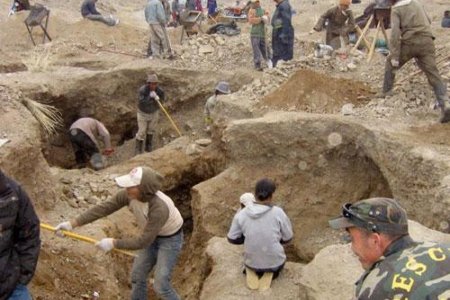 Засгийн газар: Экологийн цагдаагийн нэгж байгуулна 