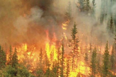 Хоёр аймагт ой хээрийн түймэр гарчээ